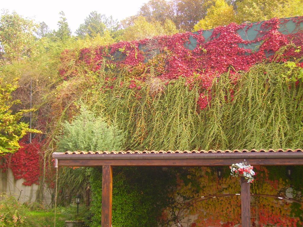 B&B Margherita Le Fiabe SantʼAgata Feltria Extérieur photo